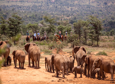 Riding with elephants